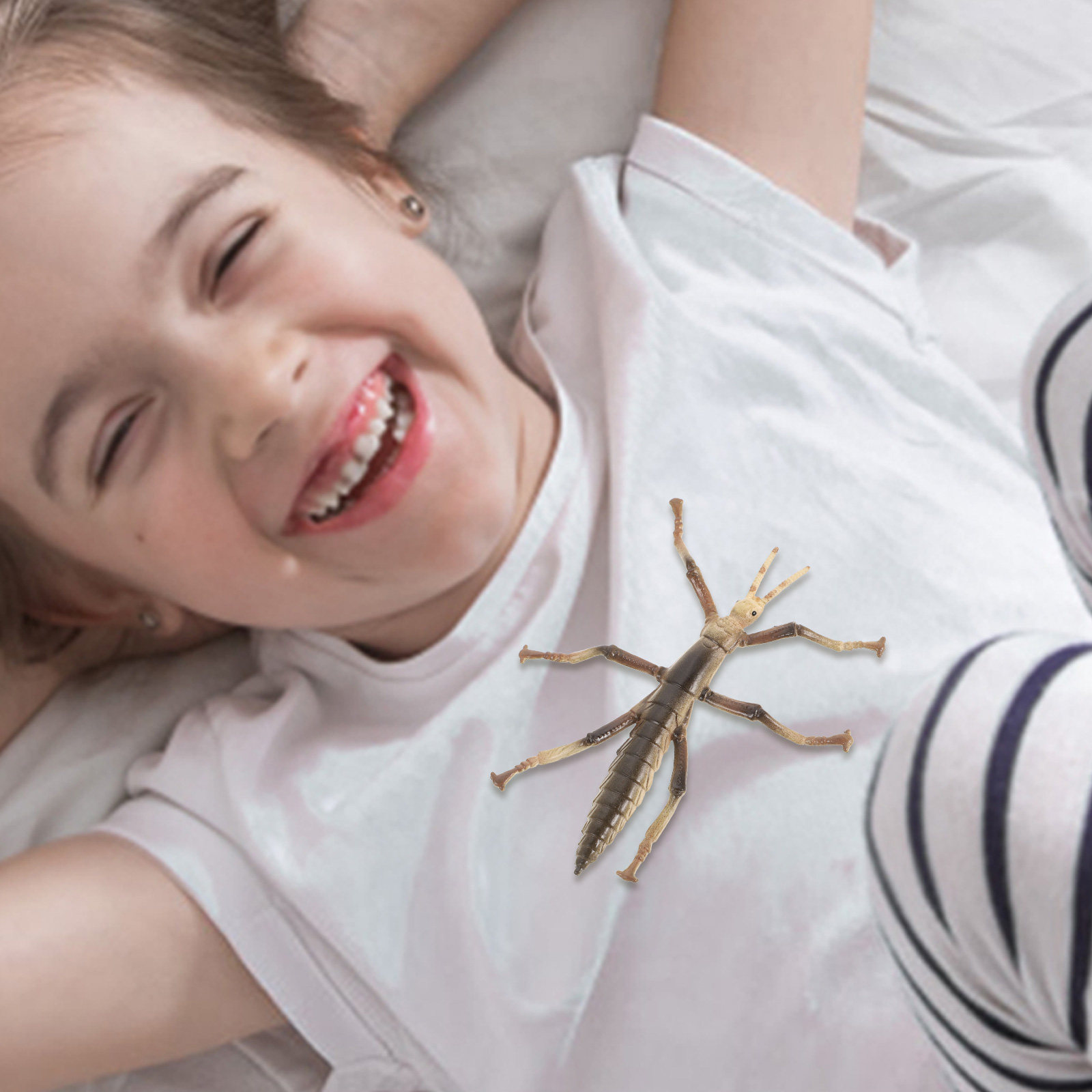 Sturdy Plastic Stick Insect fo - Kids Education Activities review and price