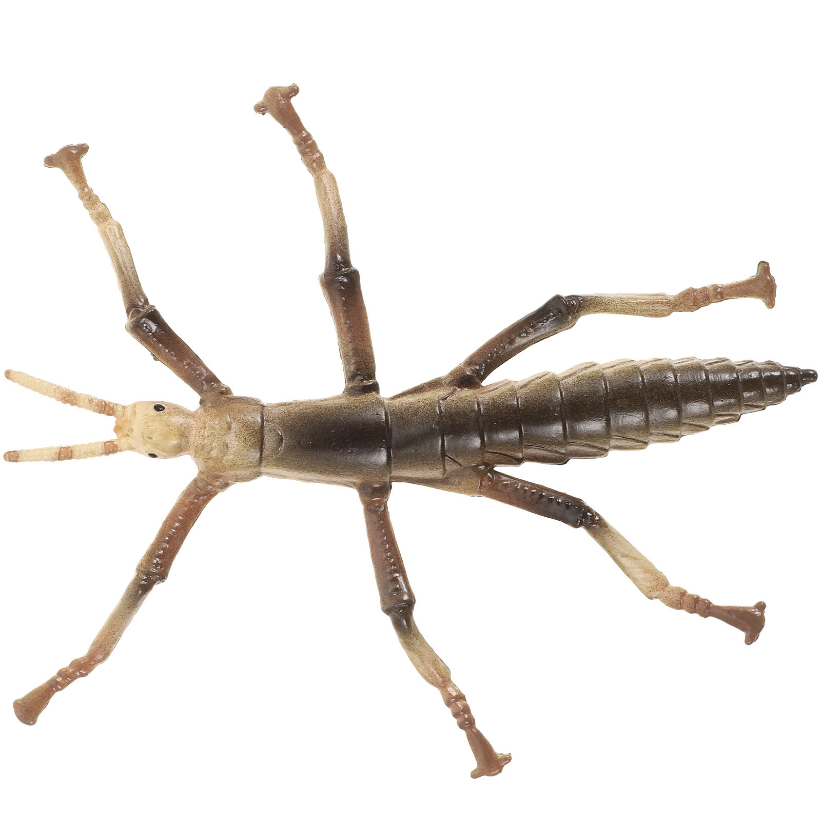 Sturdy Plastic Stick Insect fo - Kids Education Activities review and price
