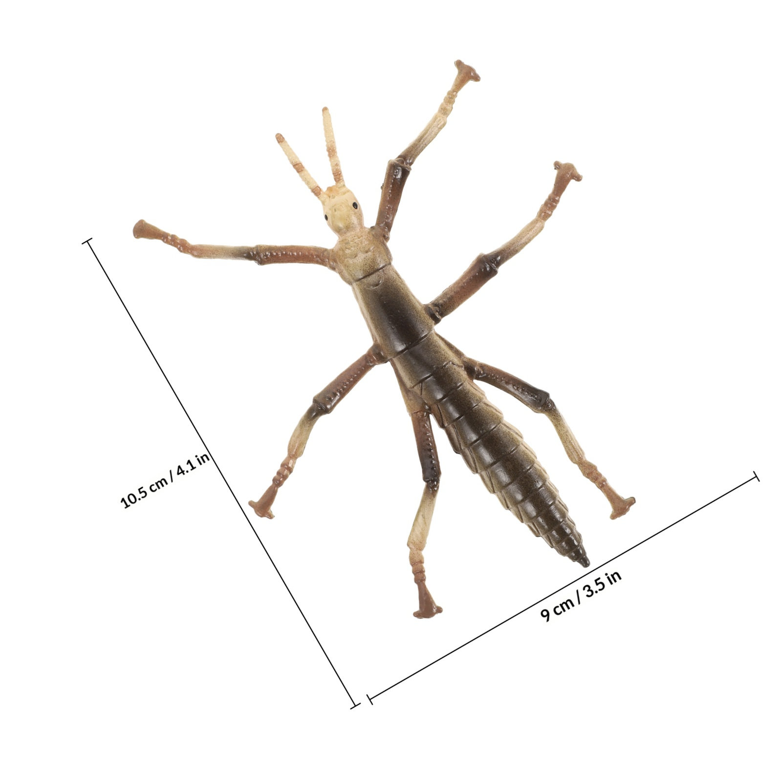 Sturdy Plastic Stick Insect fo - Kids Education Activities review and price